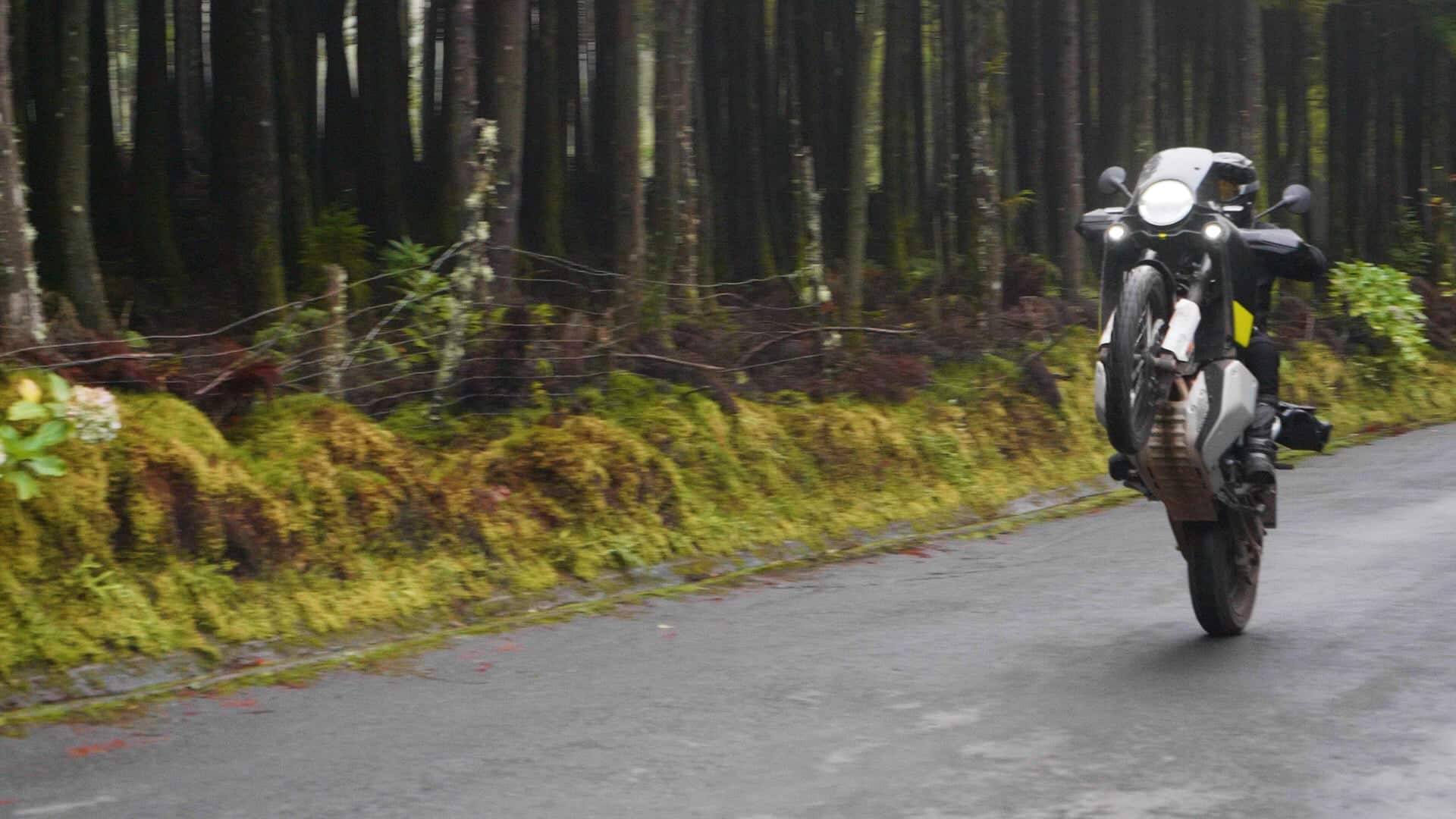 Norden wheelie still