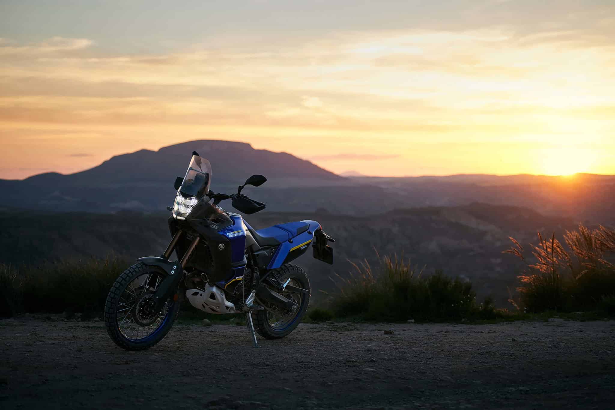 2022_YAM_TENERE 700 WORLD RAID_EU_STD_ICON BLUE_STA_012